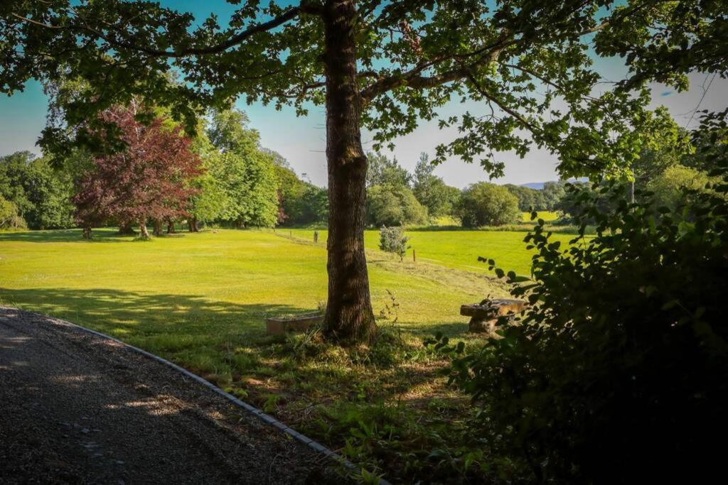 5* Self Catering Villa Nenagh Exterior foto